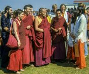 lamas arriving in maroochydore, 1974